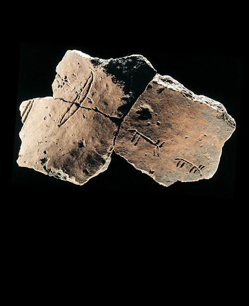 Halle_ (115).jpg - J49rechts